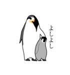 優しいペンギン（個別スタンプ：2）