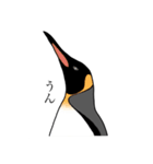 優しいペンギン（個別スタンプ：3）