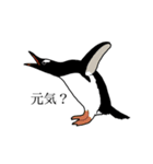 優しいペンギン（個別スタンプ：4）