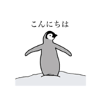 優しいペンギン（個別スタンプ：5）