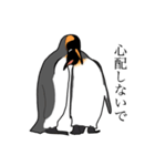 優しいペンギン（個別スタンプ：8）
