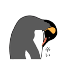 優しいペンギン（個別スタンプ：10）