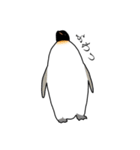 優しいペンギン（個別スタンプ：11）