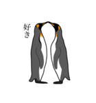 優しいペンギン（個別スタンプ：12）