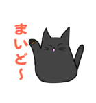 方言猫 あずき 関西弁（個別スタンプ：2）