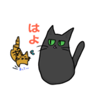 方言猫 あずき 関西弁（個別スタンプ：25）