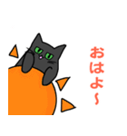 方言猫 あずき 関西弁（個別スタンプ：37）