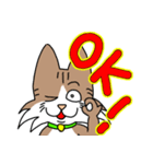 コテツとモモの日常スタンプ（個別スタンプ：1）