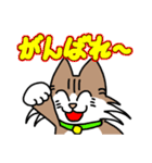 コテツとモモの日常スタンプ（個別スタンプ：2）