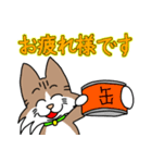 コテツとモモの日常スタンプ（個別スタンプ：4）