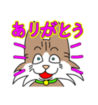 コテツとモモの日常スタンプ（個別スタンプ：6）