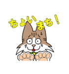 コテツとモモの日常スタンプ（個別スタンプ：14）
