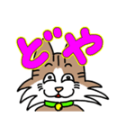 コテツとモモの日常スタンプ（個別スタンプ：15）