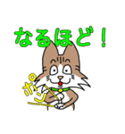 コテツとモモの日常スタンプ（個別スタンプ：18）
