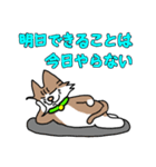 コテツとモモの日常スタンプ（個別スタンプ：19）