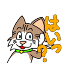 コテツとモモの日常スタンプ（個別スタンプ：24）