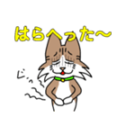 コテツとモモの日常スタンプ（個別スタンプ：34）