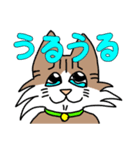 コテツとモモの日常スタンプ（個別スタンプ：36）