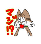 コテツとモモの日常スタンプ（個別スタンプ：37）