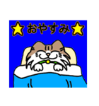 コテツとモモの日常スタンプ（個別スタンプ：40）