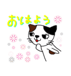 三毛猫みーにゃん（個別スタンプ：2）