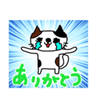 三毛猫みーにゃん（個別スタンプ：17）
