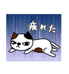 三毛猫みーにゃん（個別スタンプ：21）