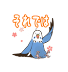 文字入り！インコのブンさん【お仕事＆日常】（個別スタンプ：5）