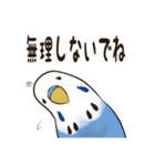 文字入り！インコのブンさん【お仕事＆日常】（個別スタンプ：25）