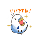 文字入り！インコのブンさん【お仕事＆日常】（個別スタンプ：30）