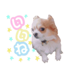 なのそよきー（個別スタンプ：3）
