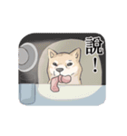 お婆ちゃんx柴犬（個別スタンプ：38）