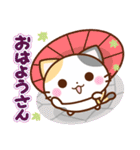 京都の三毛猫さん3（個別スタンプ：1）