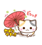 京都の三毛猫さん3（個別スタンプ：20）