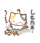 京都の三毛猫さん3（個別スタンプ：29）