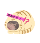 【ここたん専用】（個別スタンプ：5）