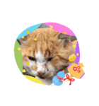 かわいいぶよちゃん（個別スタンプ：4）