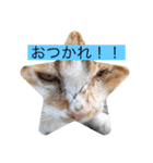 かわいいぶよちゃん（個別スタンプ：5）