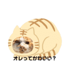かわいいぶよちゃん（個別スタンプ：6）