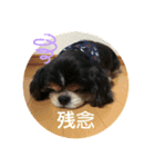 ちびっことワンコのコラボ2（個別スタンプ：1）