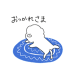 ビションフリーゼもちまるくん（個別スタンプ：13）
