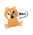 mairo❤︎（個別スタンプ：2）