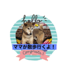 mairo❤︎（個別スタンプ：5）