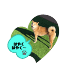 mairo❤︎（個別スタンプ：7）