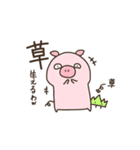ブタ丸（個別スタンプ：33）