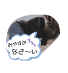 我が子 そうたの挨拶（個別スタンプ：2）