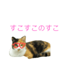 パリピにゃんこ♡（個別スタンプ：2）