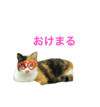 パリピにゃんこ♡（個別スタンプ：3）