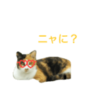 パリピにゃんこ♡（個別スタンプ：4）