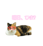 パリピにゃんこ♡（個別スタンプ：5）